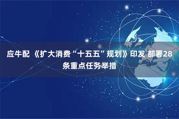 应牛配 《扩大消费“十五五”规划》印发 部署28条重点任务举措